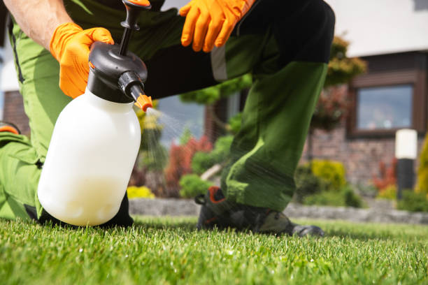 Best Exterminator Services  in Milmay, NJ