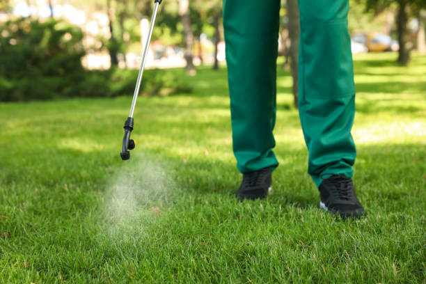 Best Residential Pest Control  in Milmay, NJ